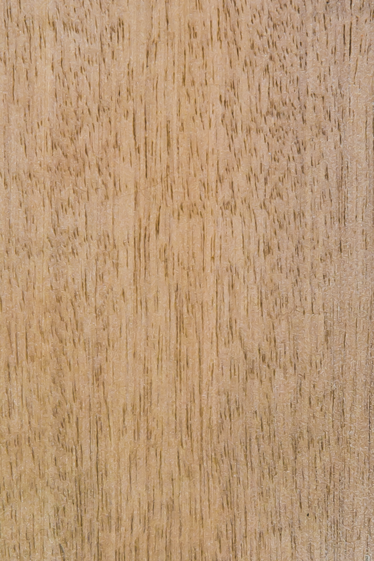 Sycamore Veneer at Creation Hospitality