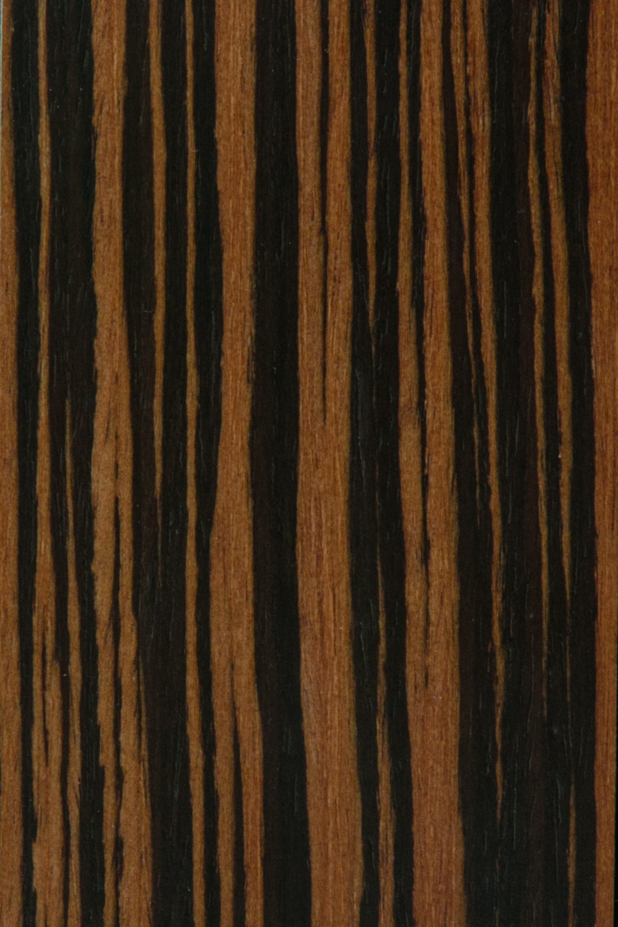 Zebra Veneer at Creation Hospitality